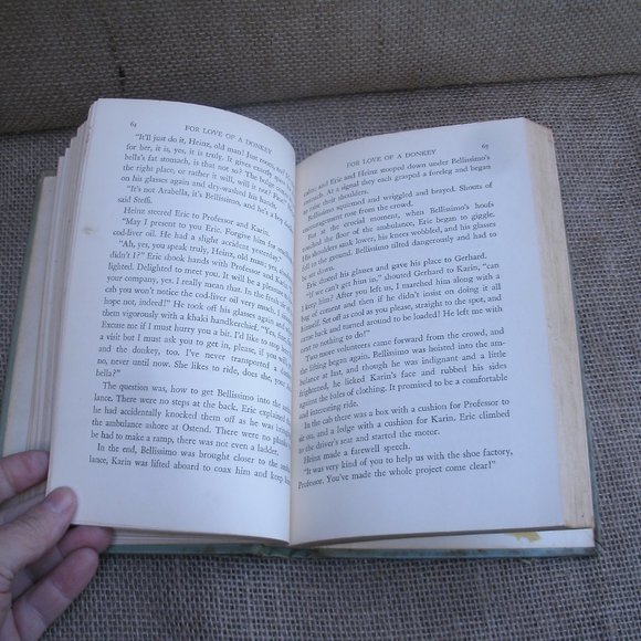 For Love of a Donkey by Betty Morgan Bowen - Picture 7 of 16